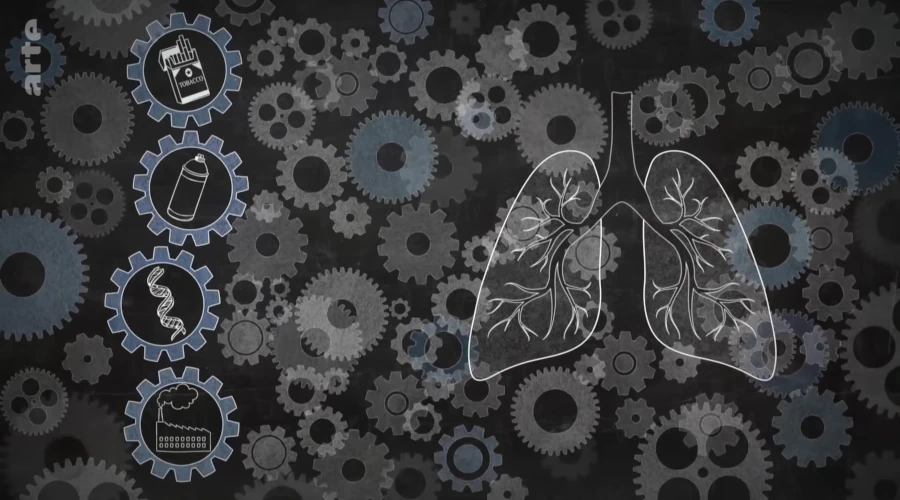 La fabrique de l'ignorance